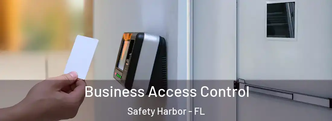 Business Access Control Safety Harbor - FL