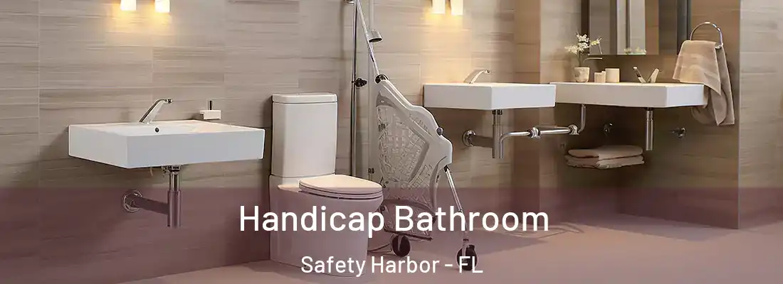  Handicap Bathroom Safety Harbor - FL