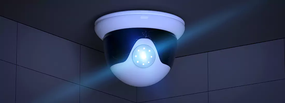 Affordable Night Vision CCTV Camera Services in Safety Harbor, FL