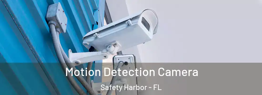 Motion Detection Camera Safety Harbor - FL